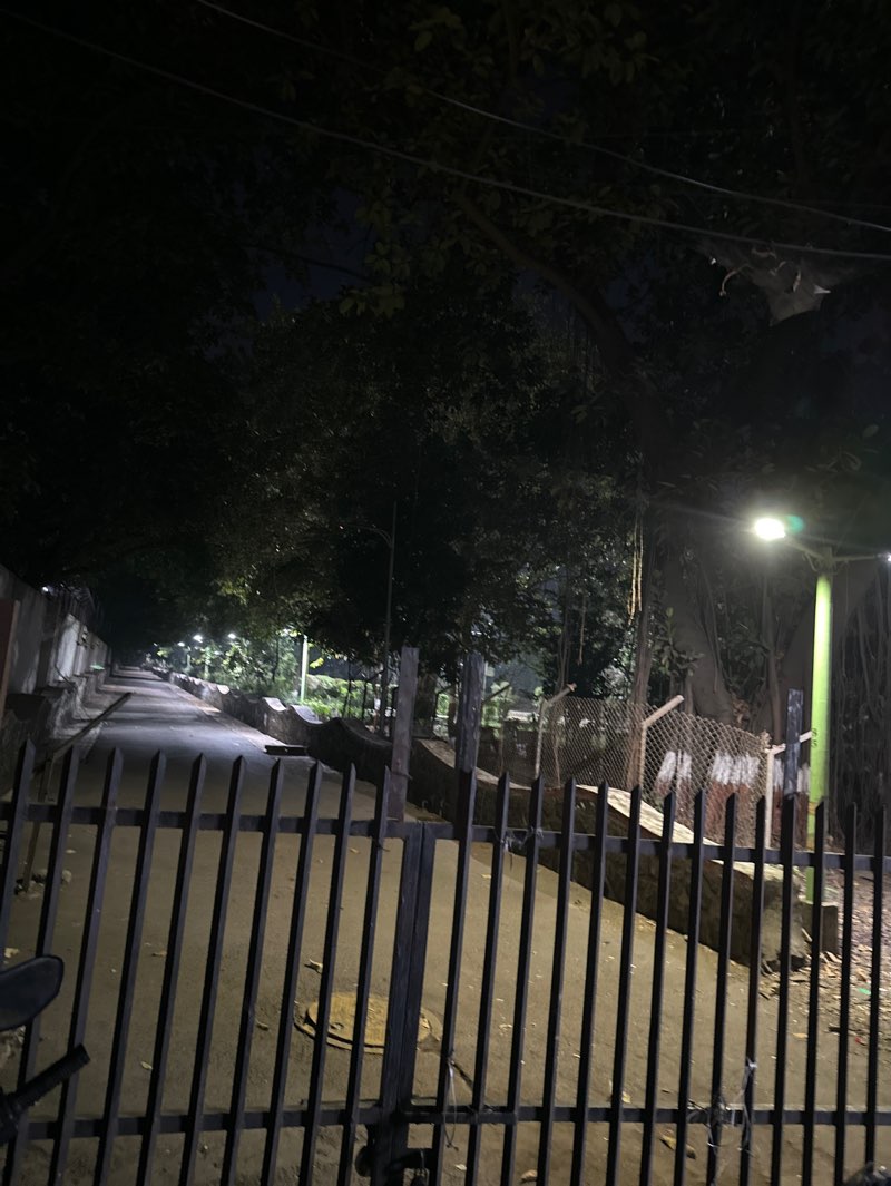 walking near me in Varachha Chopati Garden in winter