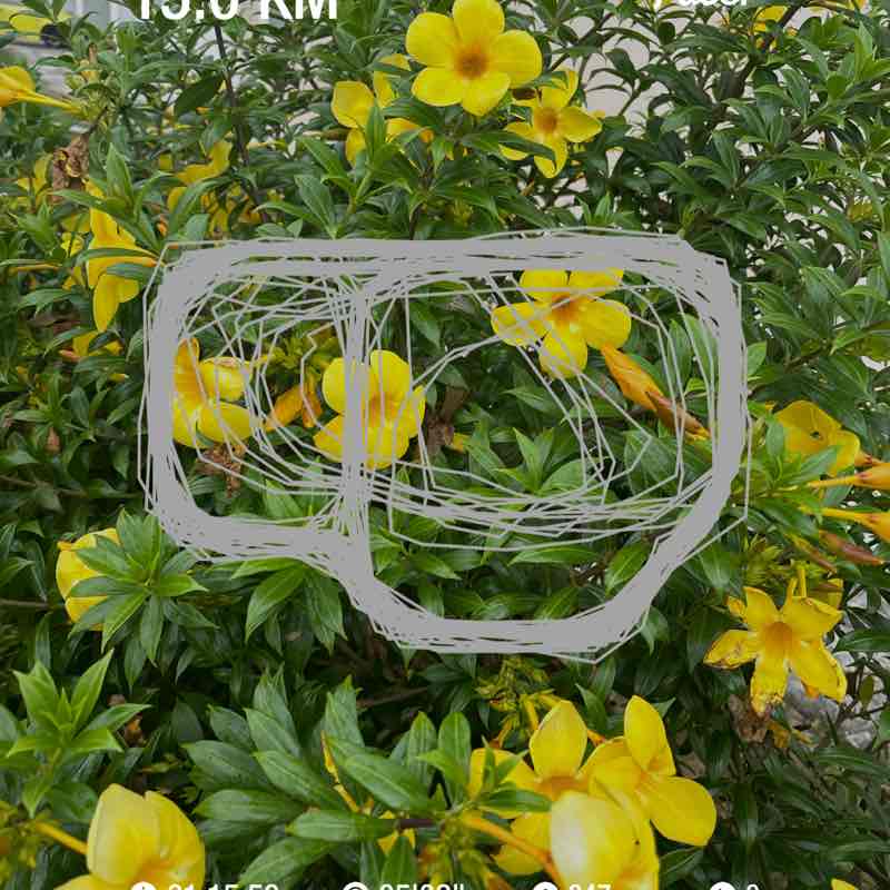 Suhana Saroni post 1