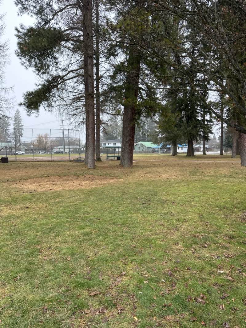 walking near me in Pine Street Park in winter