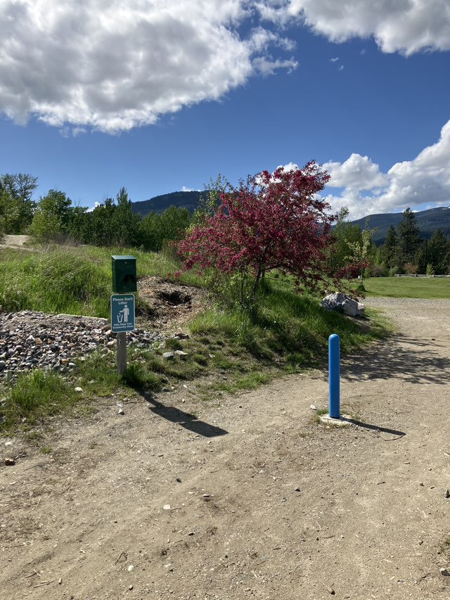 walking near me in McNearney Park in spring