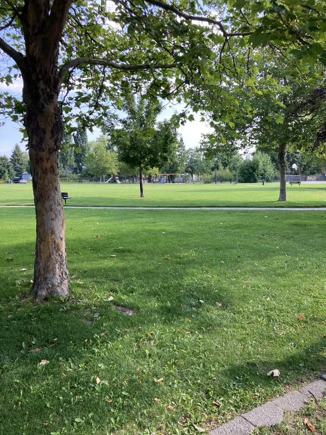 walking near me in Hickory Park in autumn