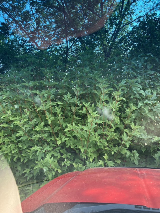 walking near me in Great Northern Park in autumn