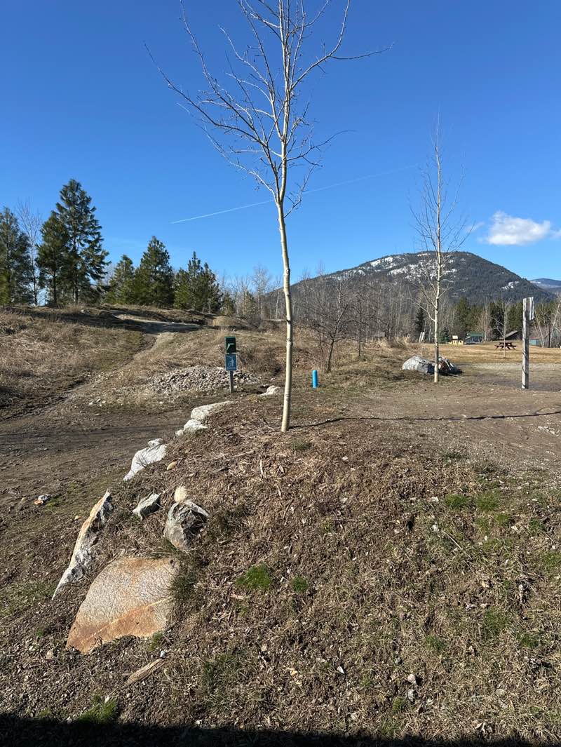 walking near me in McNearney Park in spring