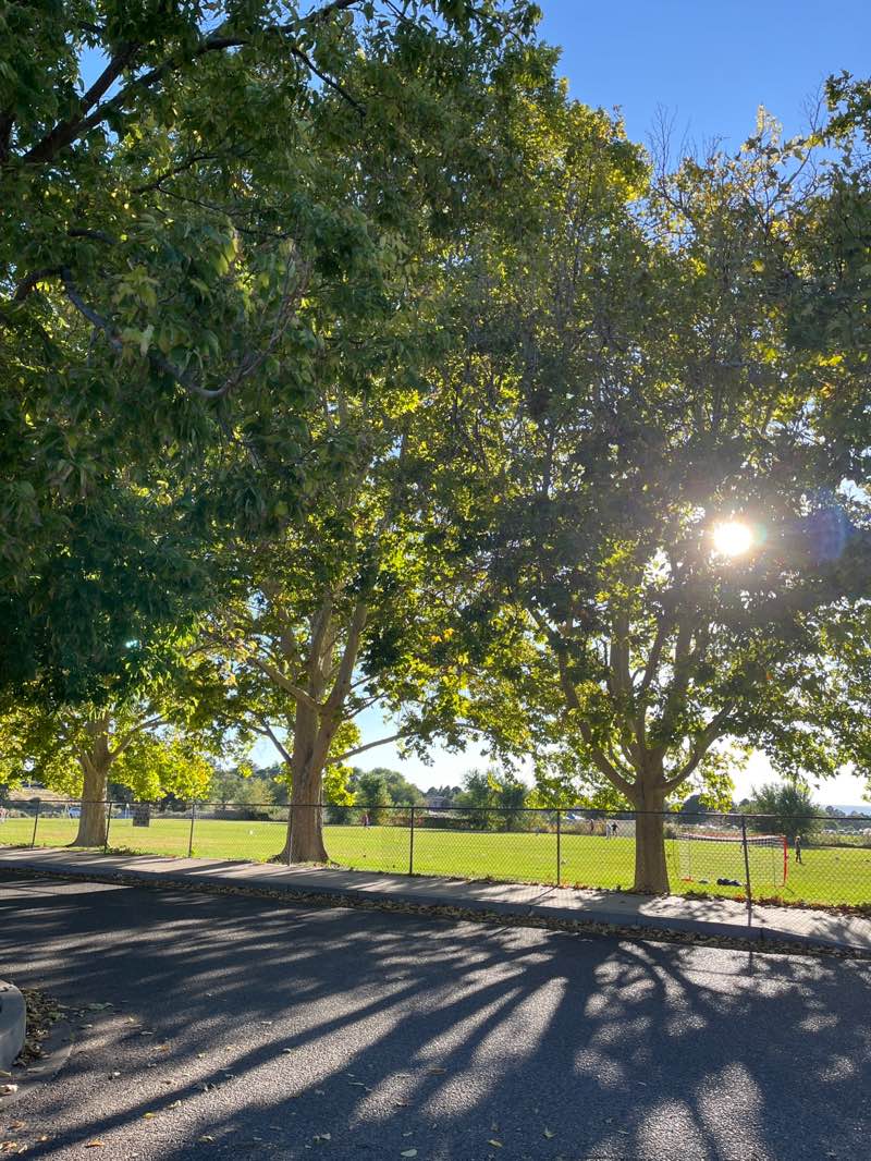 walking near me in Arroyo del Oso Park (Soccer and Tennis Complex) in autumn