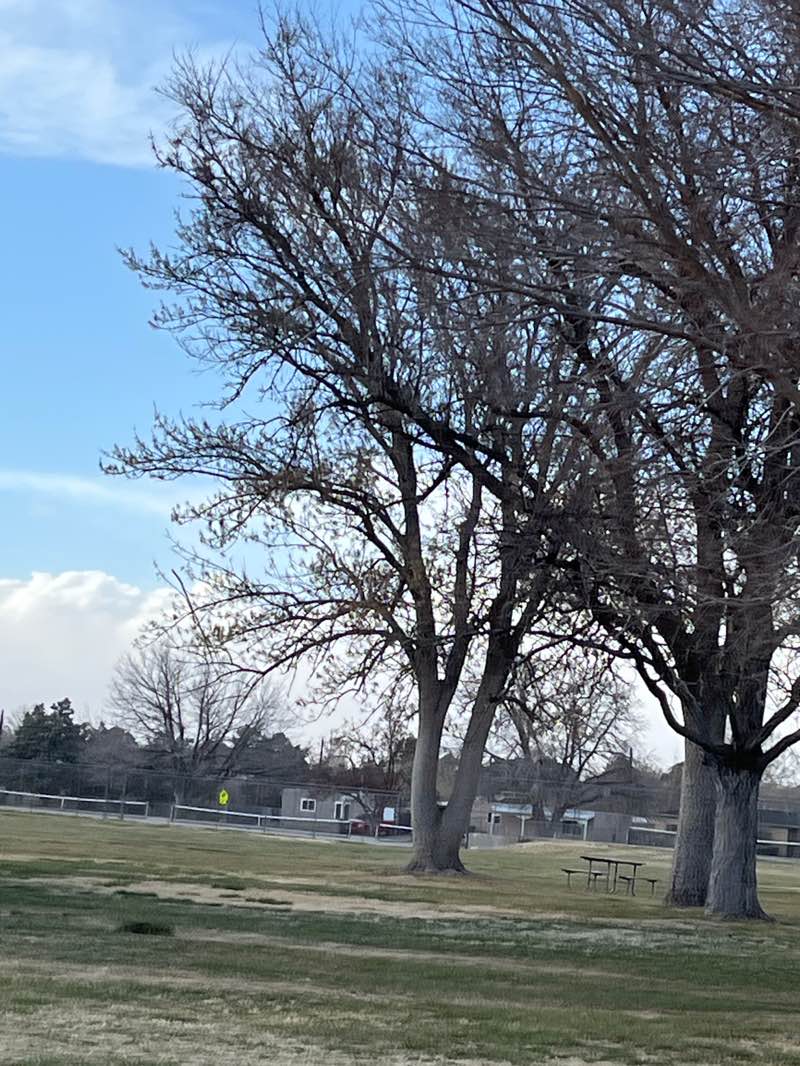 walking near me in Aztec Park in spring