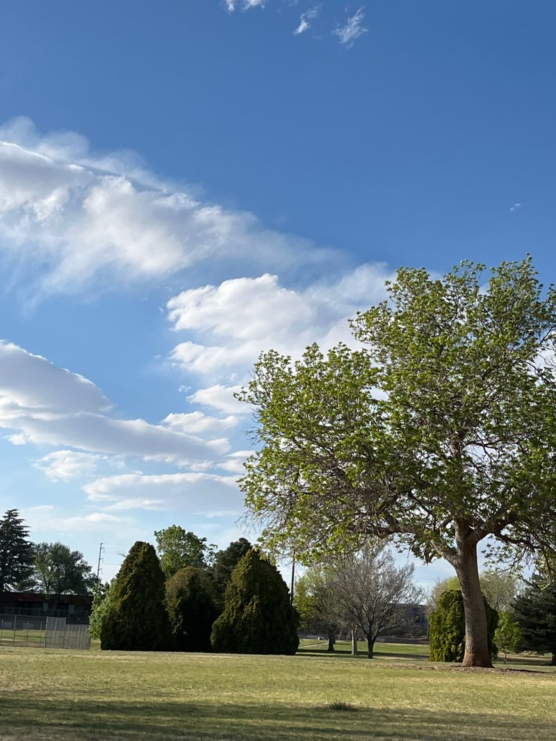 walking near me in Stardust Skies Park in spring