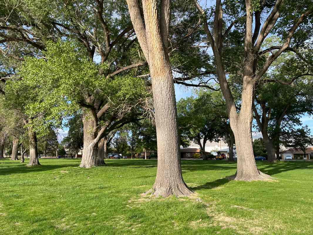 walking near me in Inez Park in spring