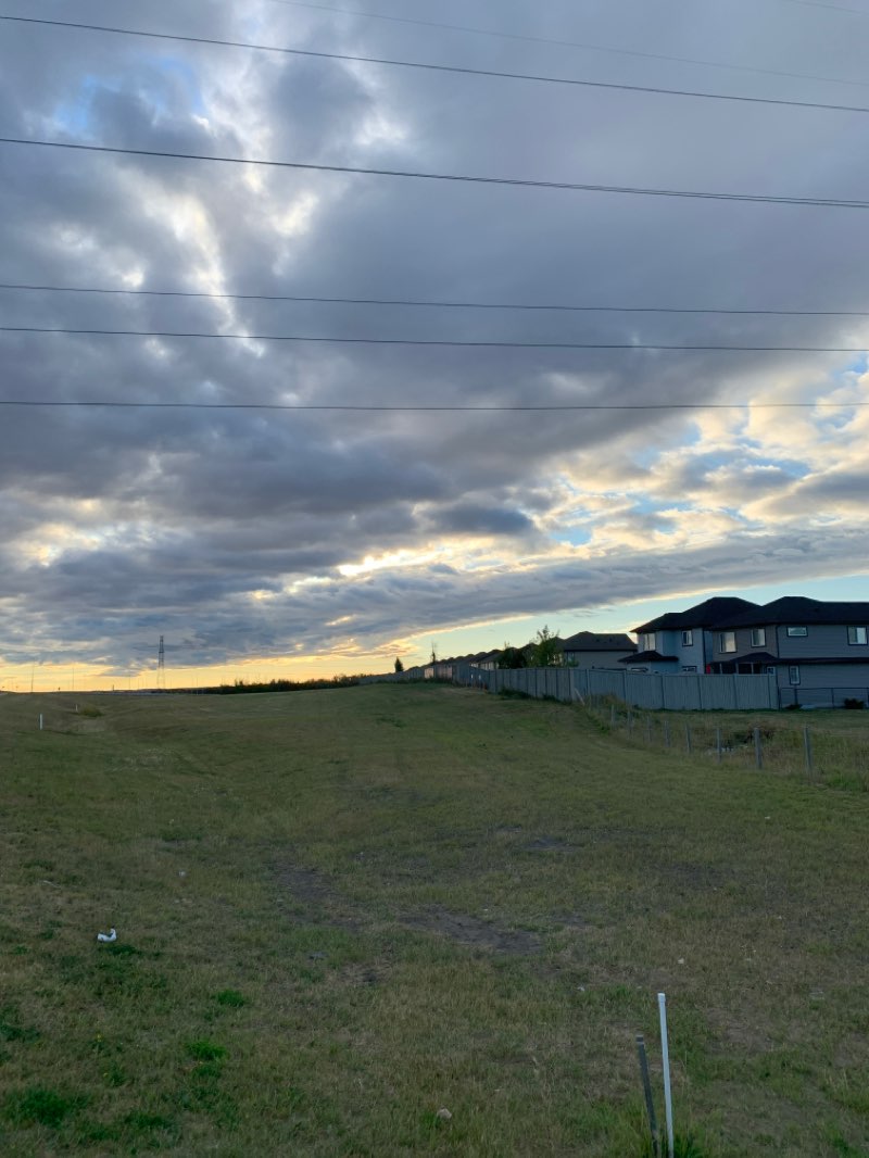 walking near me in Ebbers Park in winter