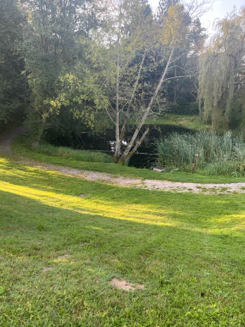 walking near me in Conder Park in winter