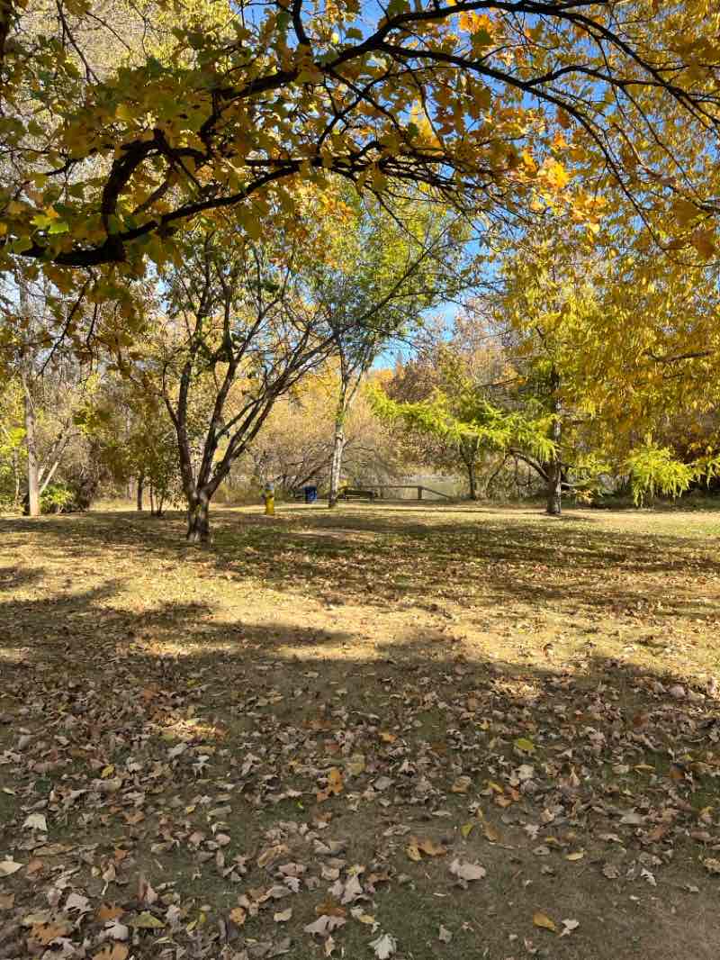 walking near me in Kinsmen Park in autumn