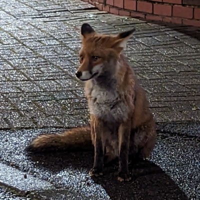 👌FABULOUS WALKERS👌 Ellen Bentley post image