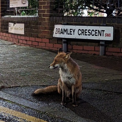👌FABULOUS WALKERS👌 Ellen Bentley post image