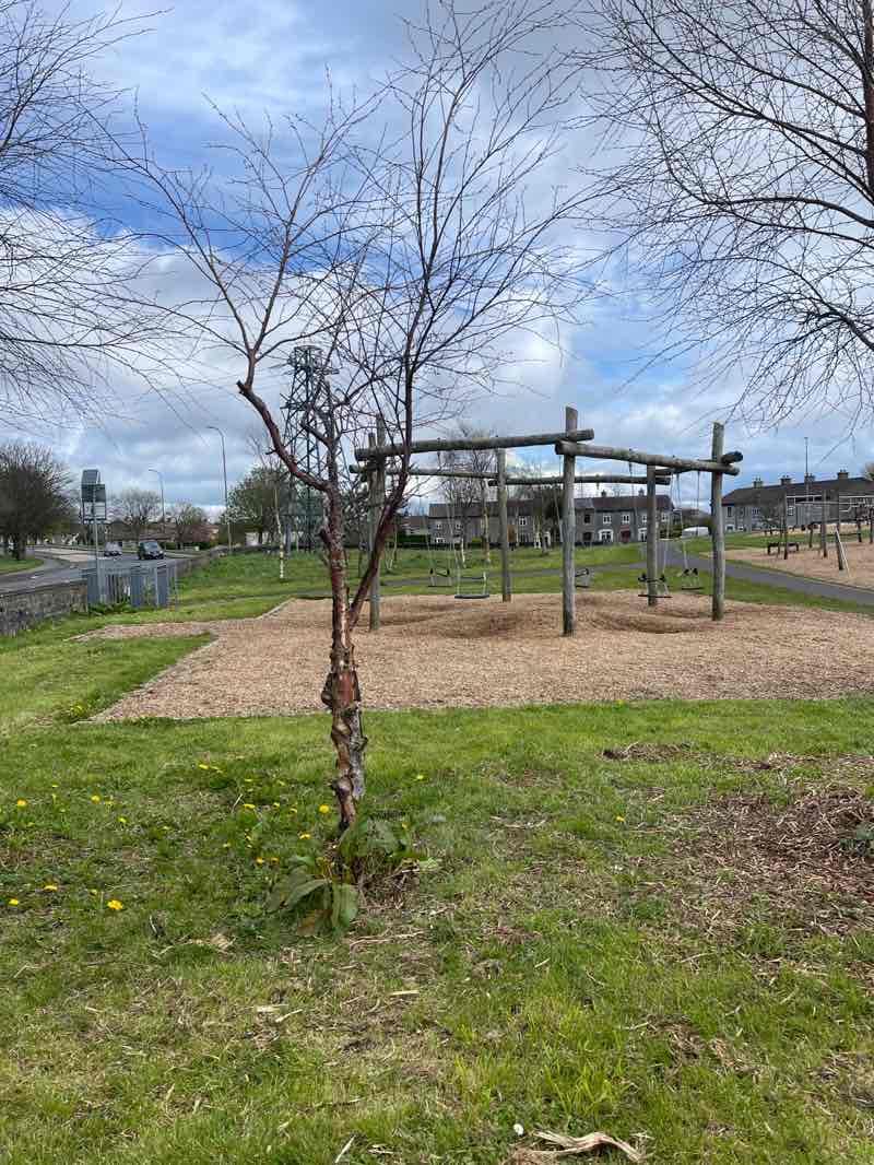 walking near me in Westside Park in spring