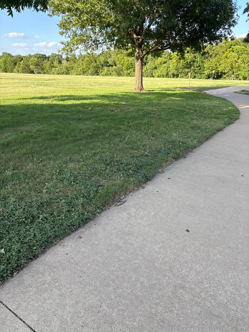 walking near me in Red Bird Park in summer