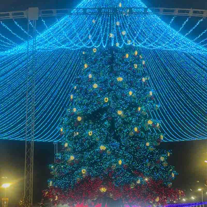 Мы можем больше! Тула Игнатий post image