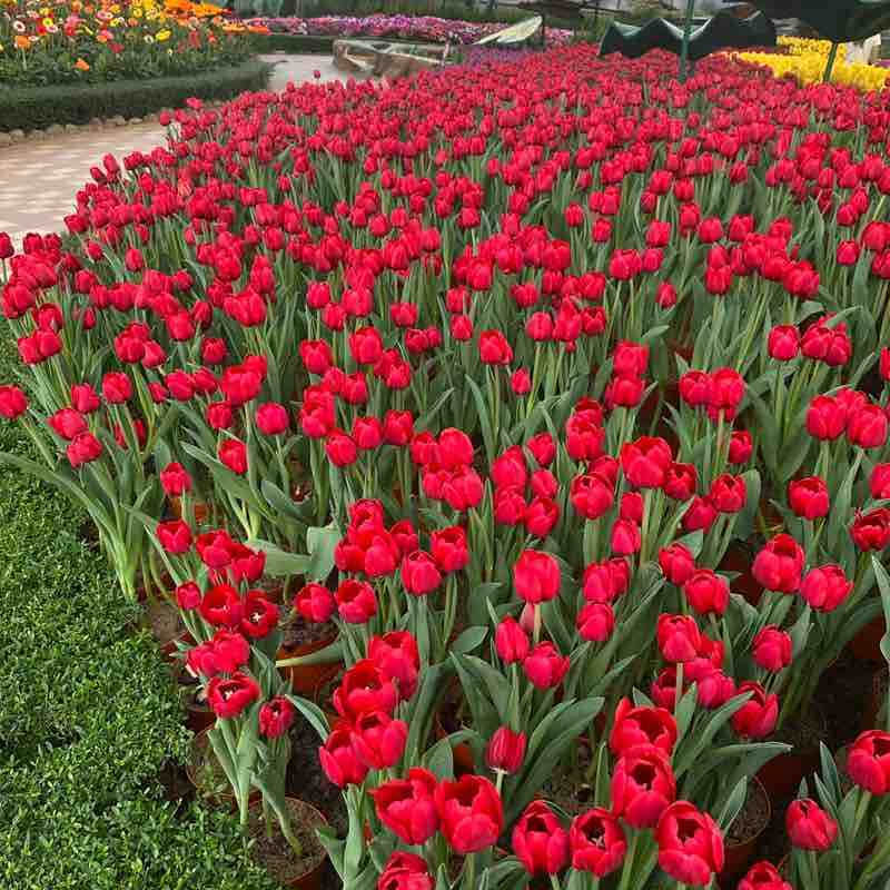 Running HTI Group Hiep post image