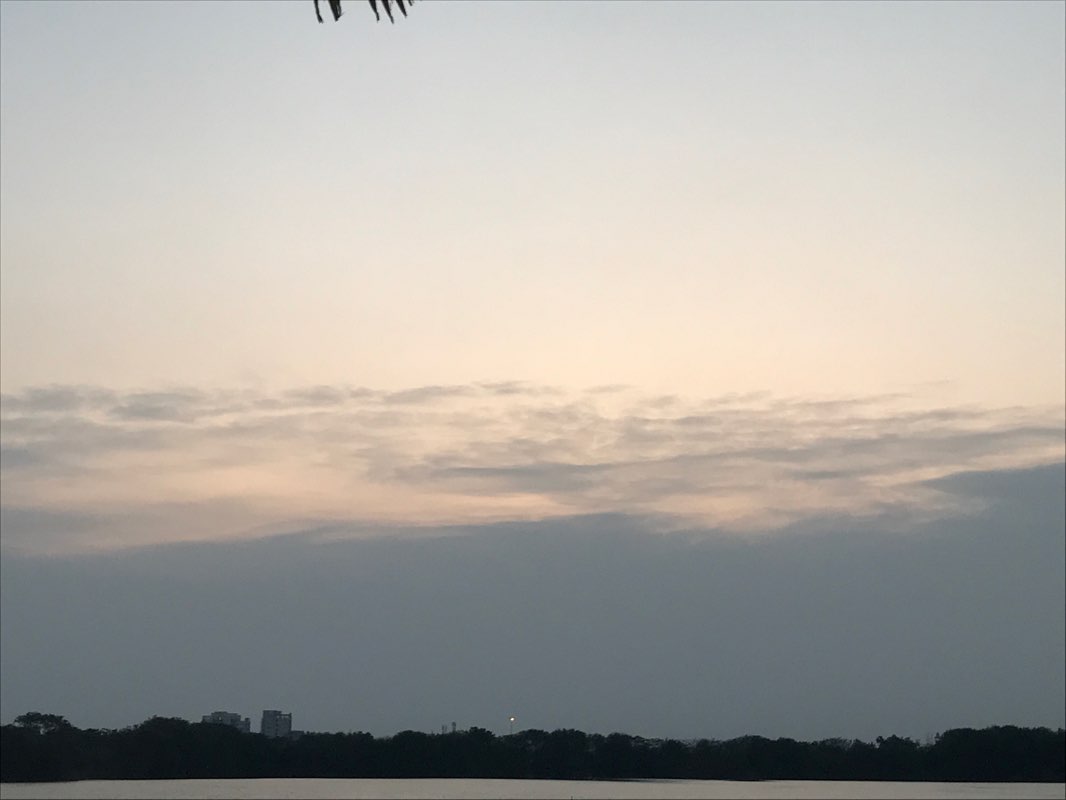 walking near me in Matariaya Talav Park in winter