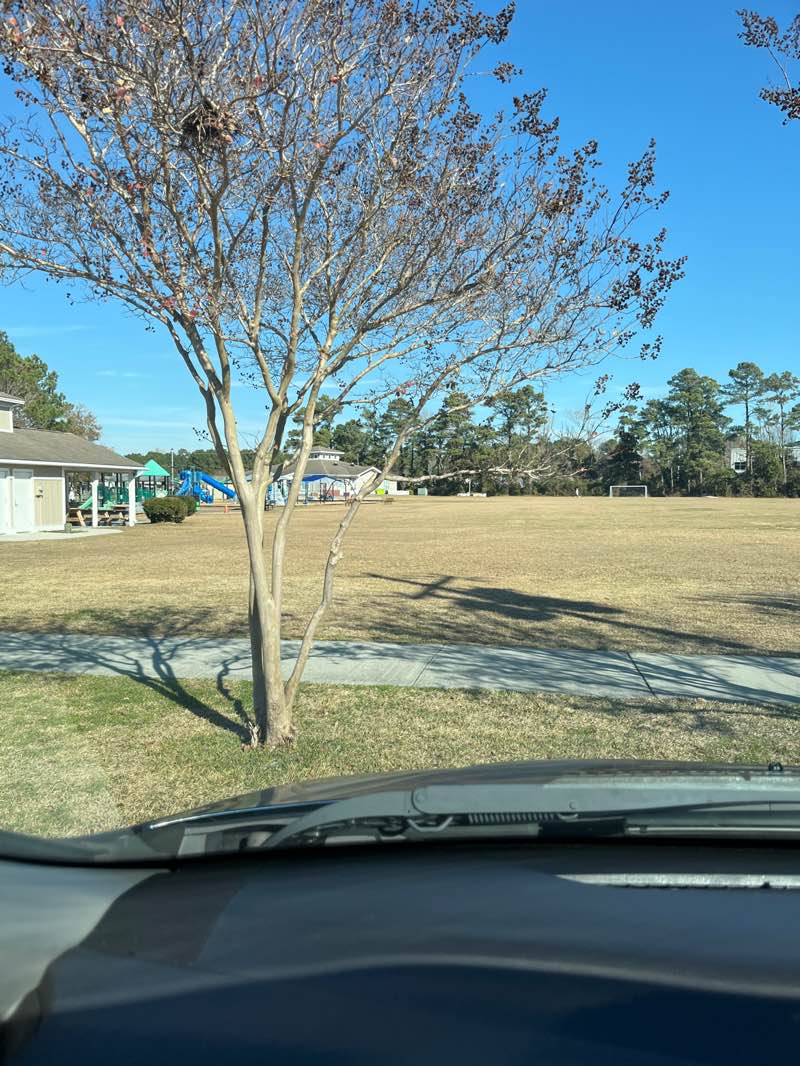 walking near me in Swansboro Municipal Park in winter