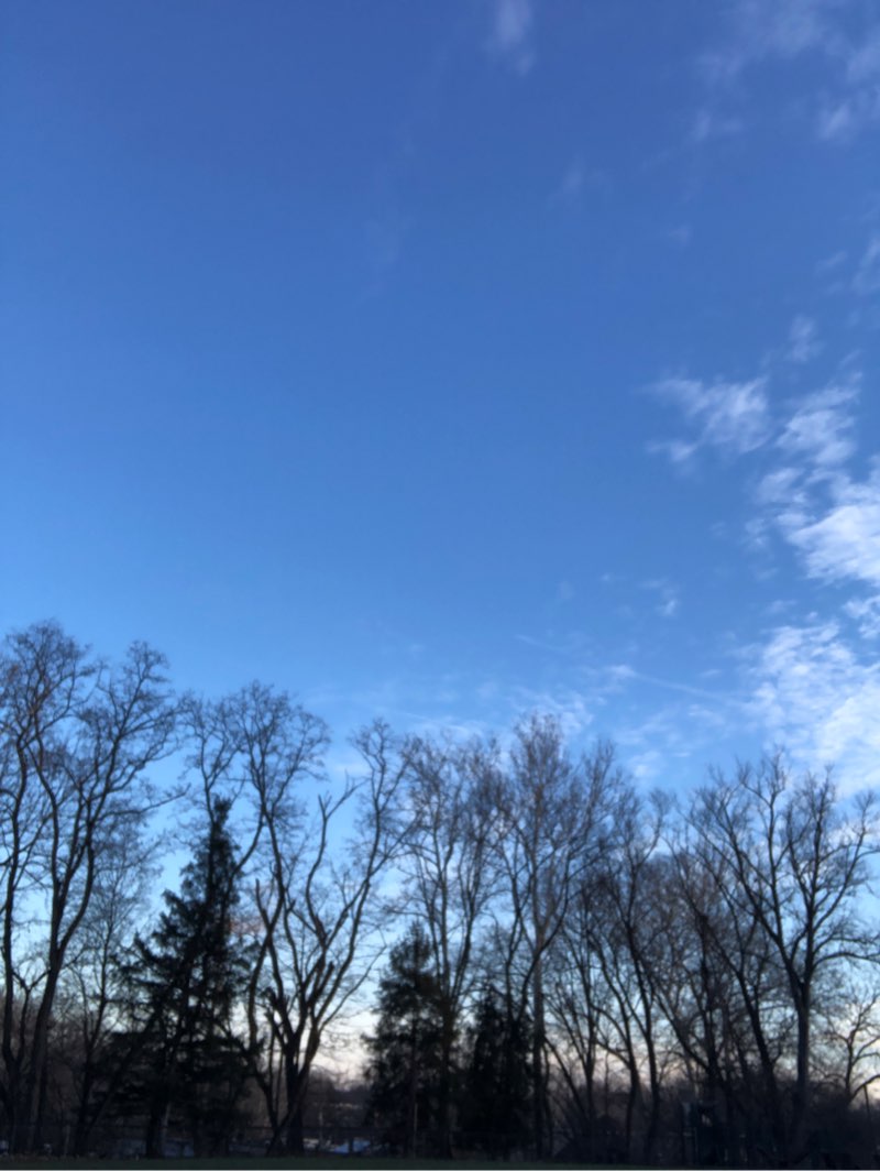 walking near me in Rossi Memorial Park in winter