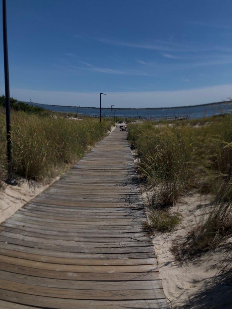 walking near me in Captree State Park in autumn