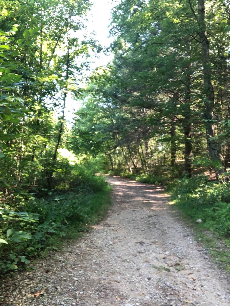 walking near me in Sunrise State Park in autumn