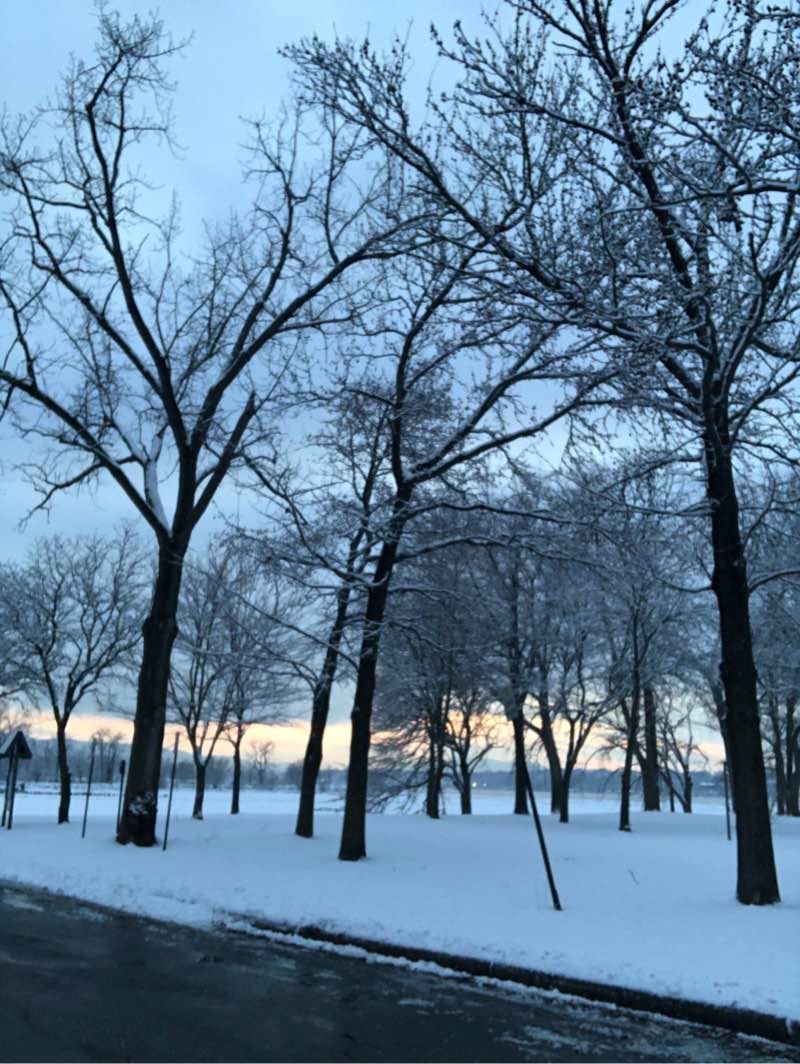 walking near me in Long Dock Park in winter
