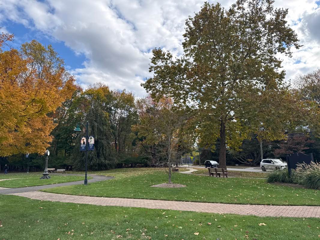 walking near me in Oaks' Park in autumn