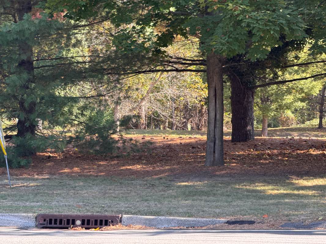 walking near me in Fairway Oaks Park in autumn