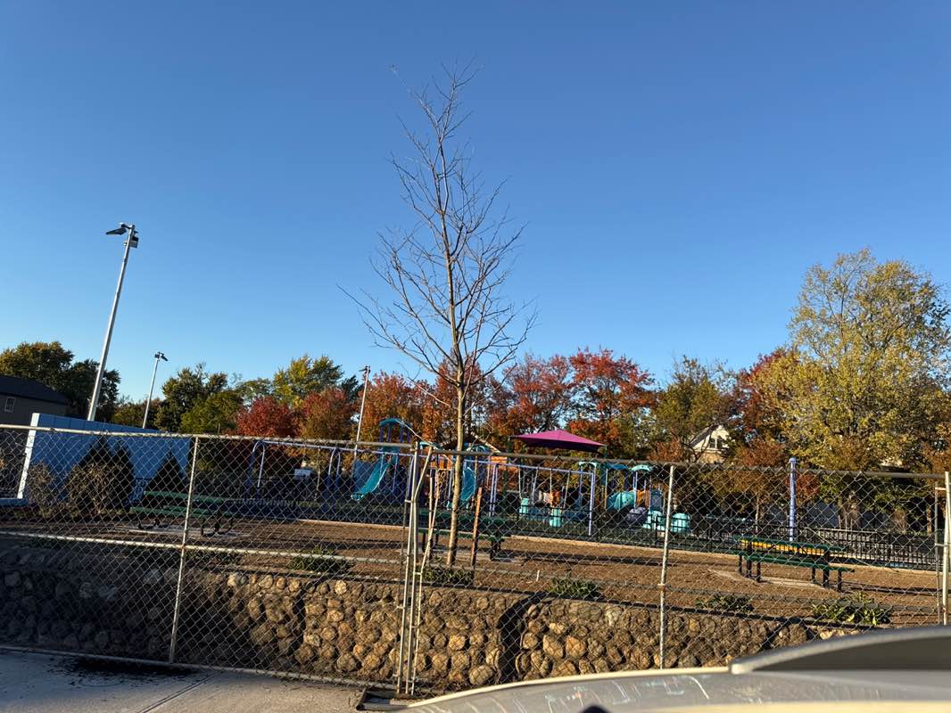 walking near me in Wrigley Park in autumn