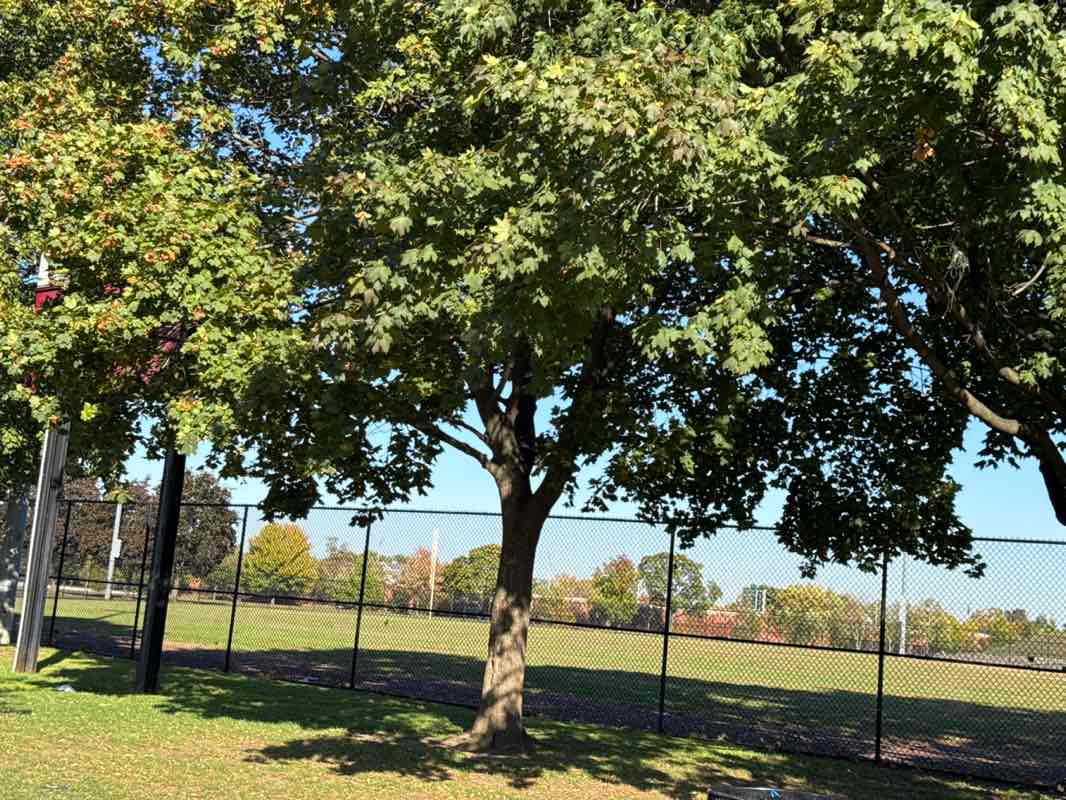 walking near me in Nash Park in autumn