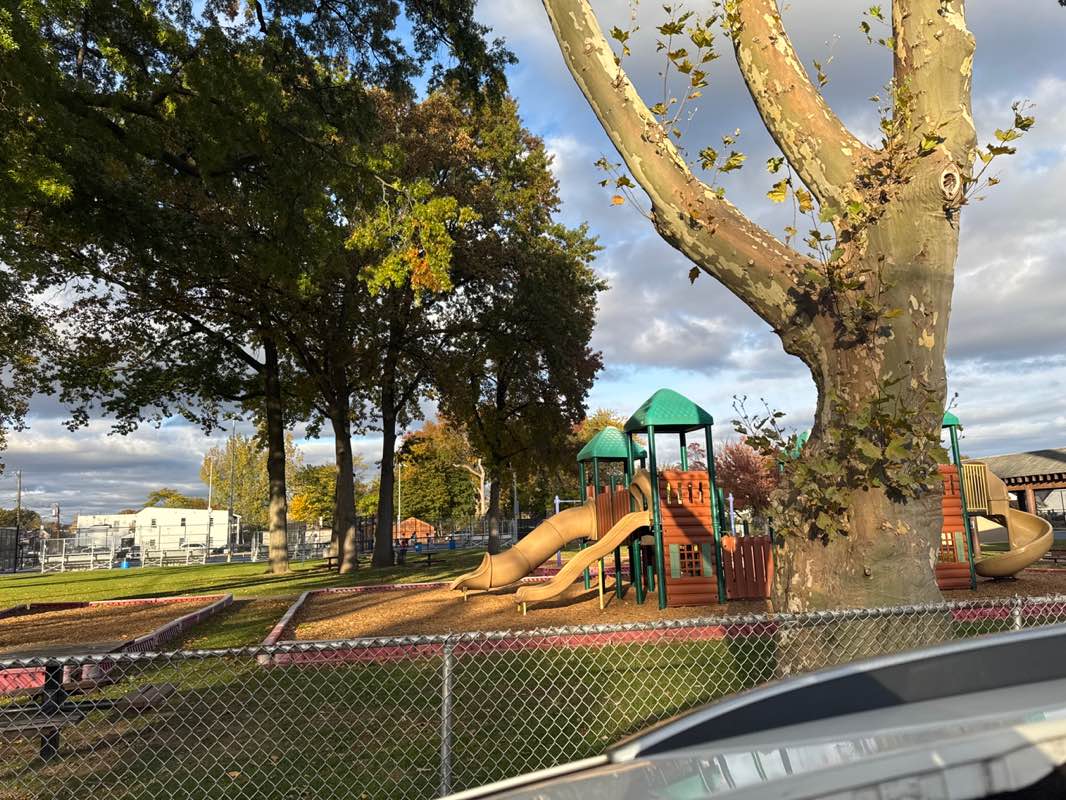 walking near me in Carver Park in autumn