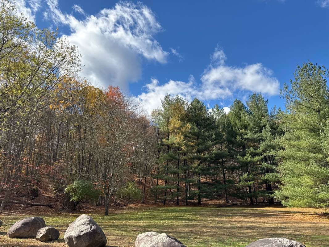 walking near me in Deer Trail North Property in autumn