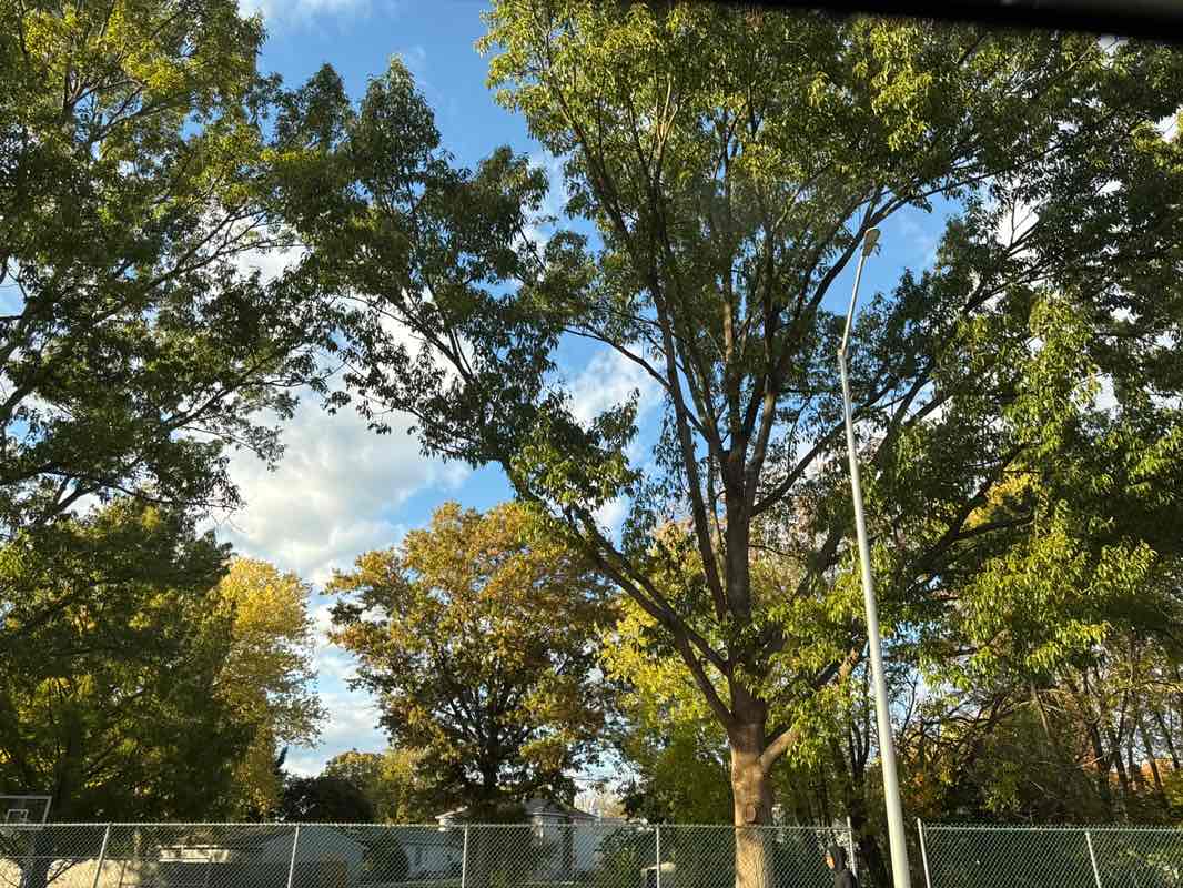 walking near me in George Read Park in autumn