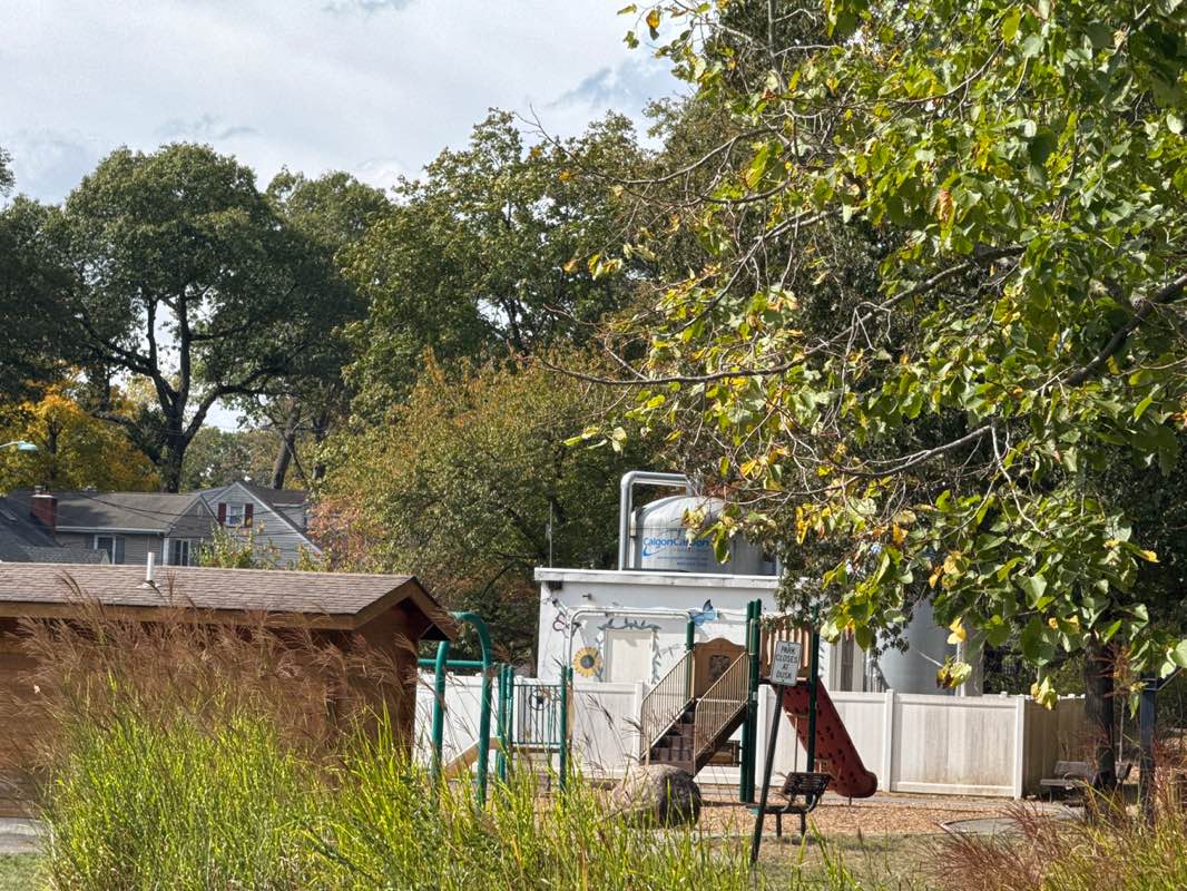 walking near me in Veteran's Park in autumn