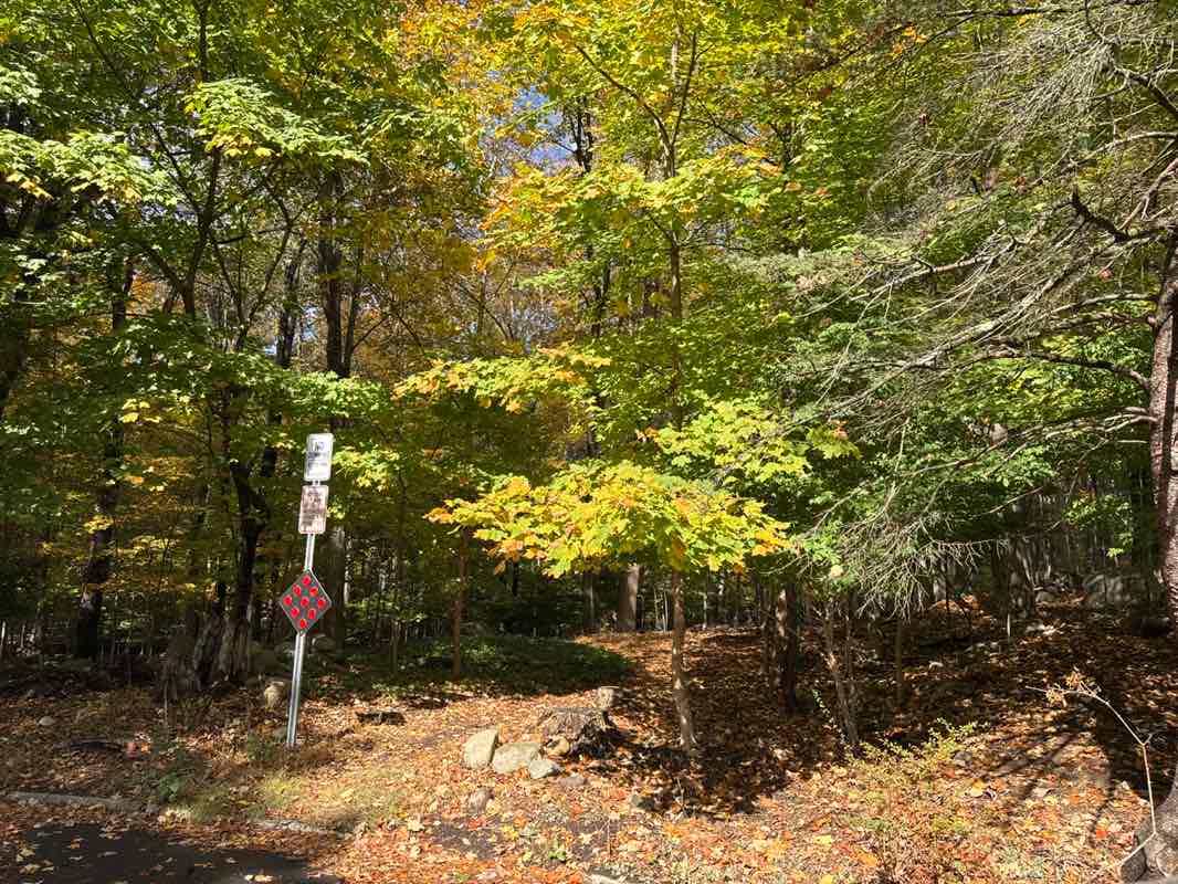 walking near me in Suraci Pond Property in autumn