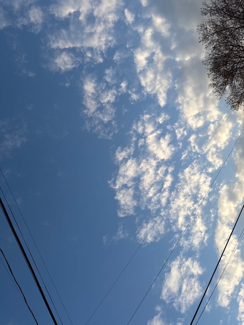 walking near me in Roberto Clemente Park in autumn