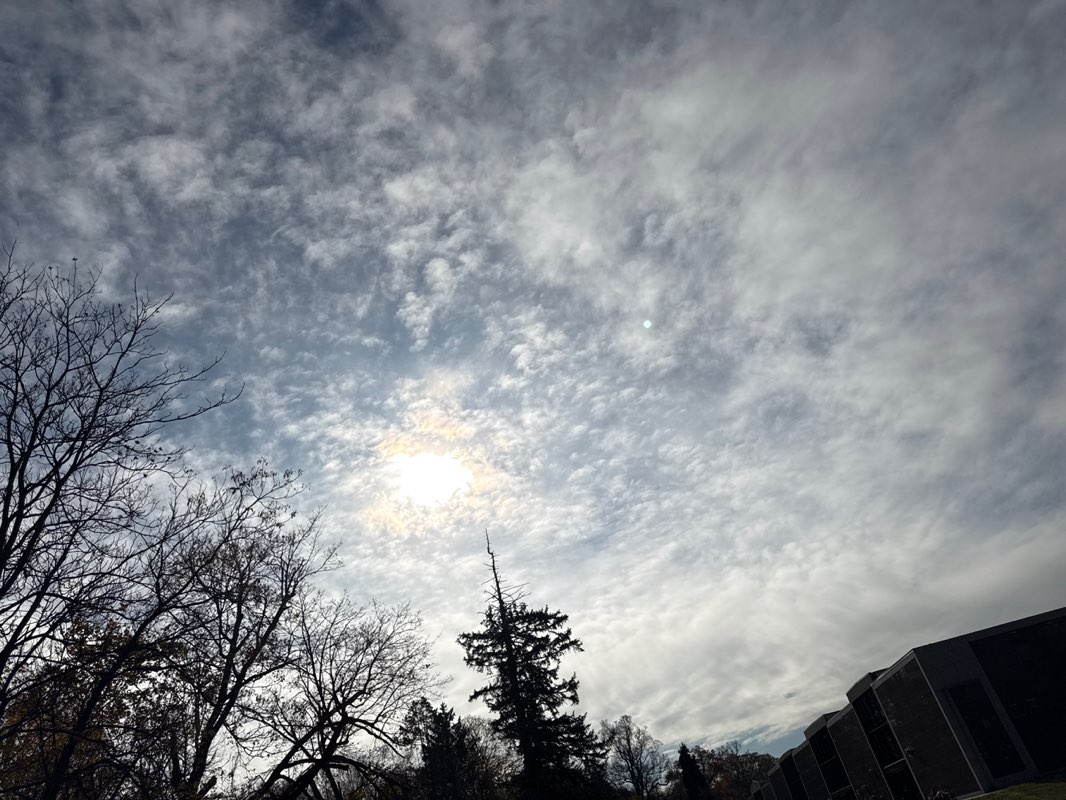 walking near me in Veterans Field Park in autumn