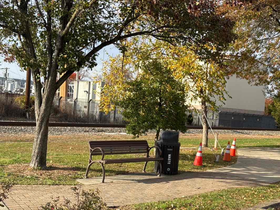 walking near me in Dumont Arboretum in autumn