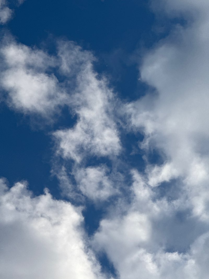 walking near me in English Neighborhood Park in autumn