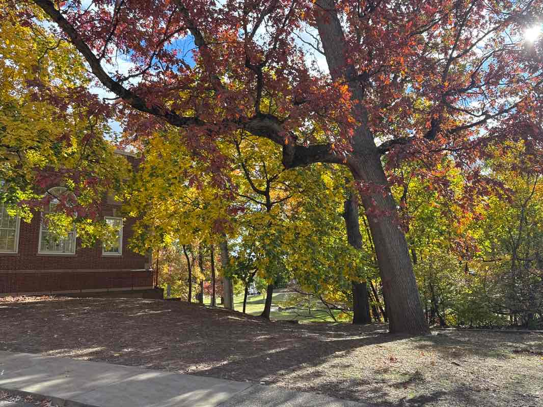 walking near me in Rand Park in autumn