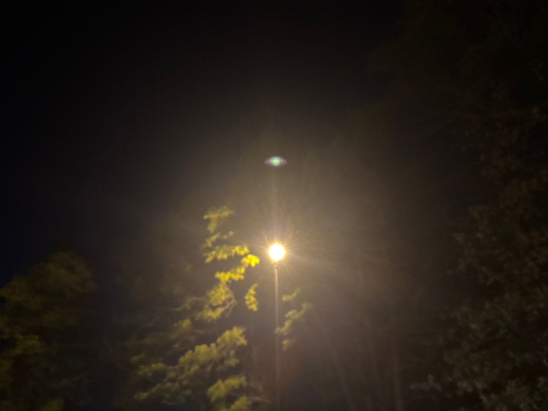 walking near me in Veterans Park in autumn