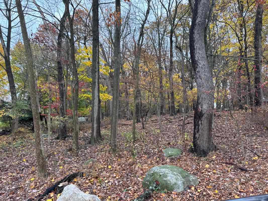 walking near me in Linden Road Park in autumn