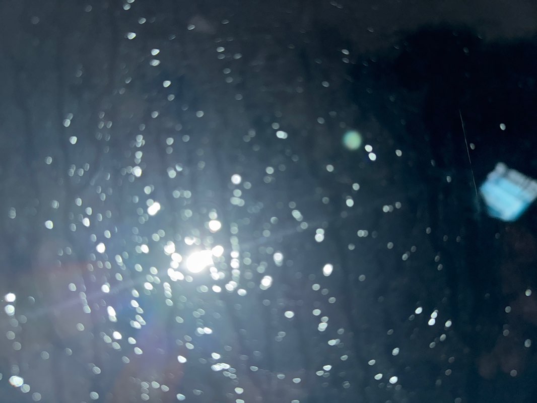 walking near me in Mannino Park in autumn