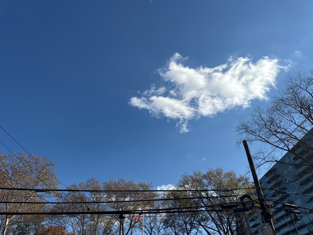 walking near me in Zalewski Park in autumn