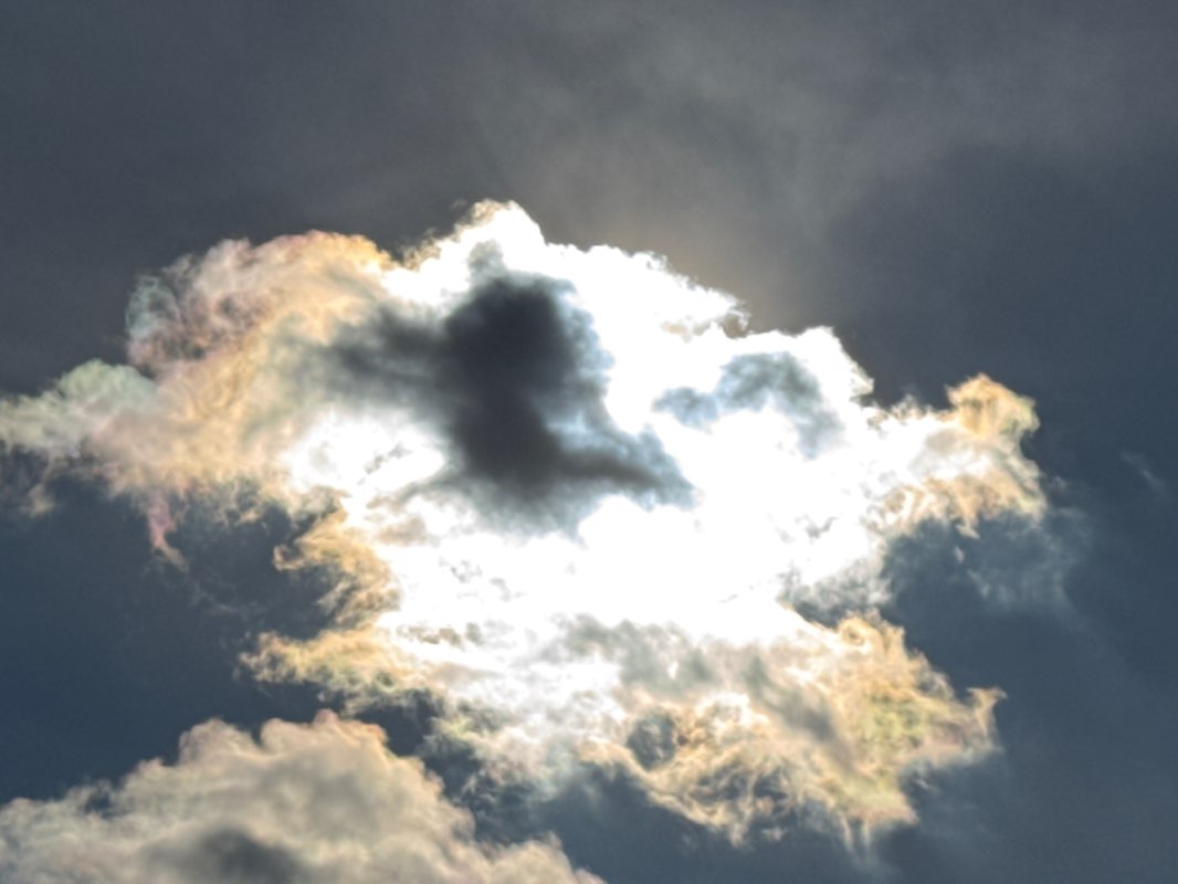 walking near me in Demuro Park in winter