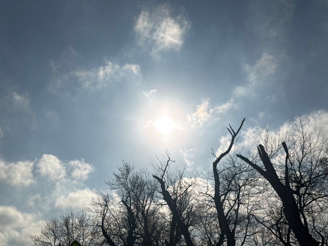 walking near me in Dundee Island Park in winter