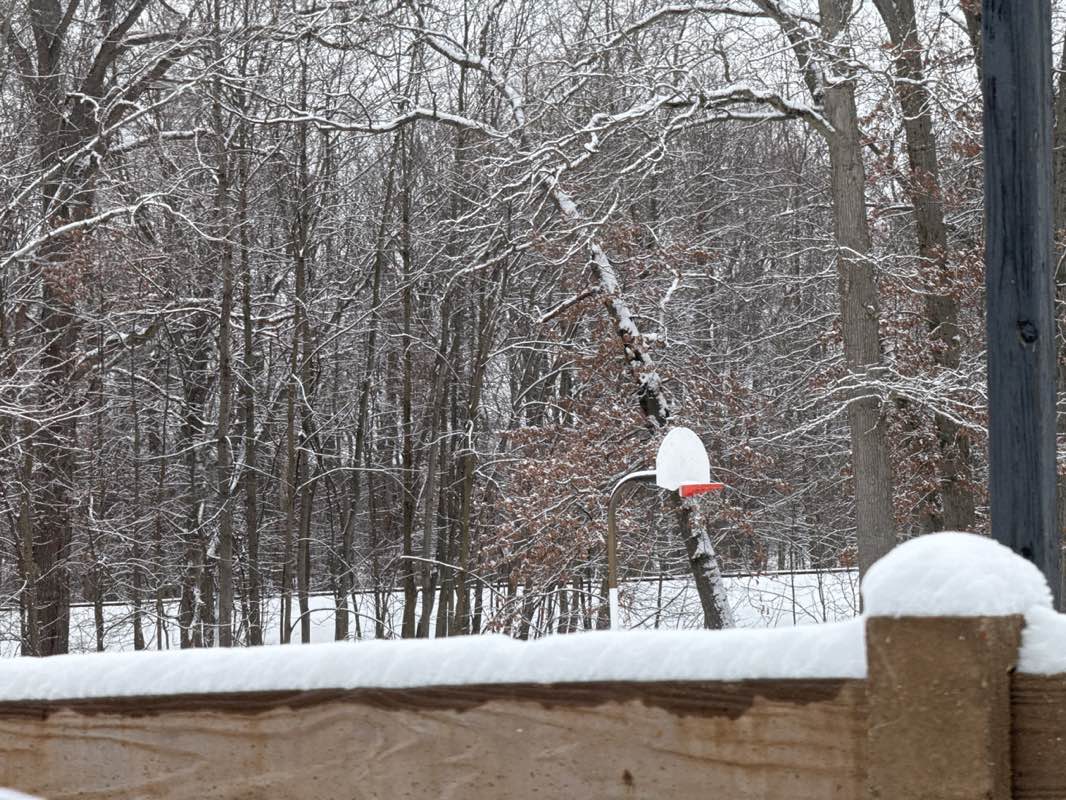 walking near me in Fayette Avenue Park in winter