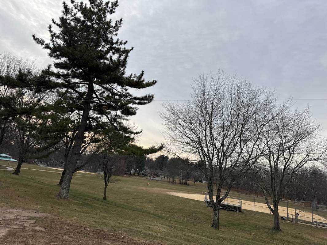 walking near me in Viola Town Park in winter