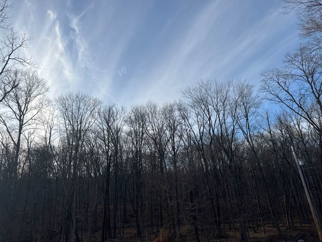 walking near me in Campgaw Mountain Reservation in winter