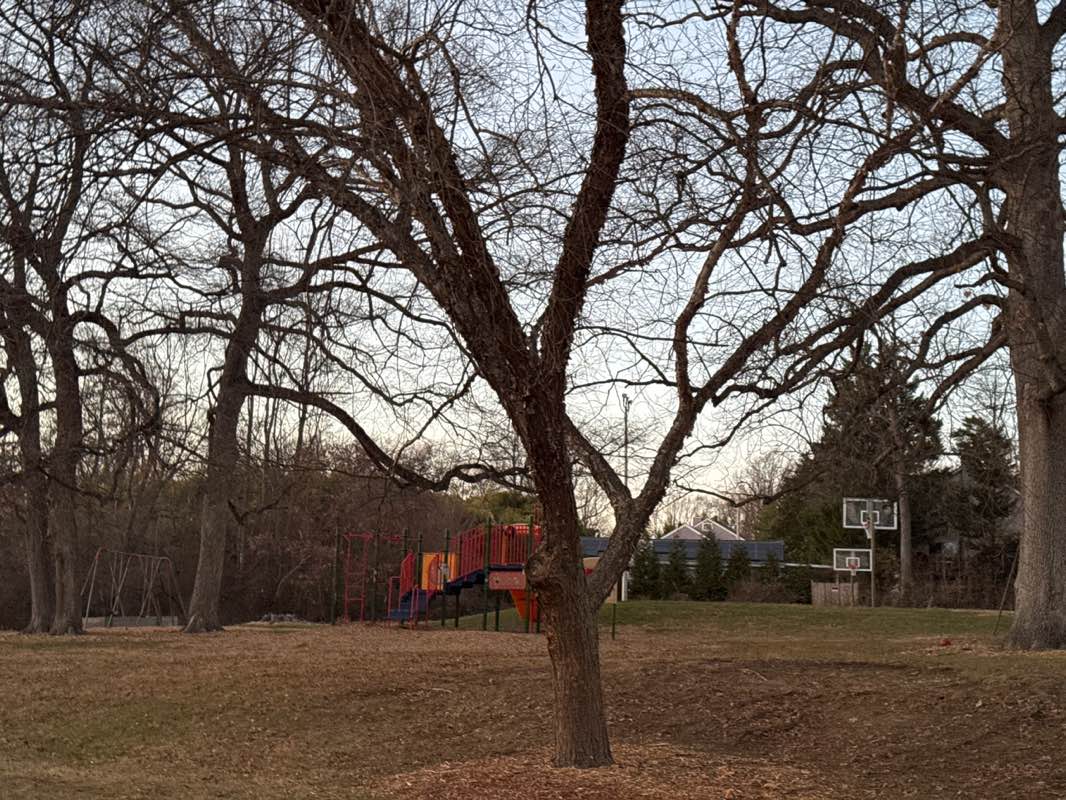 walking near me in George Wilson Center in winter